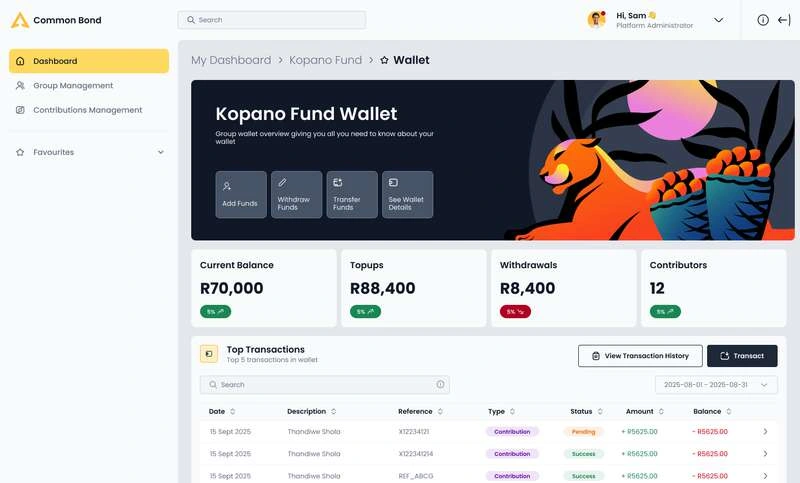 Extracted Phase 1 interface: group wallet, balances and transaction records